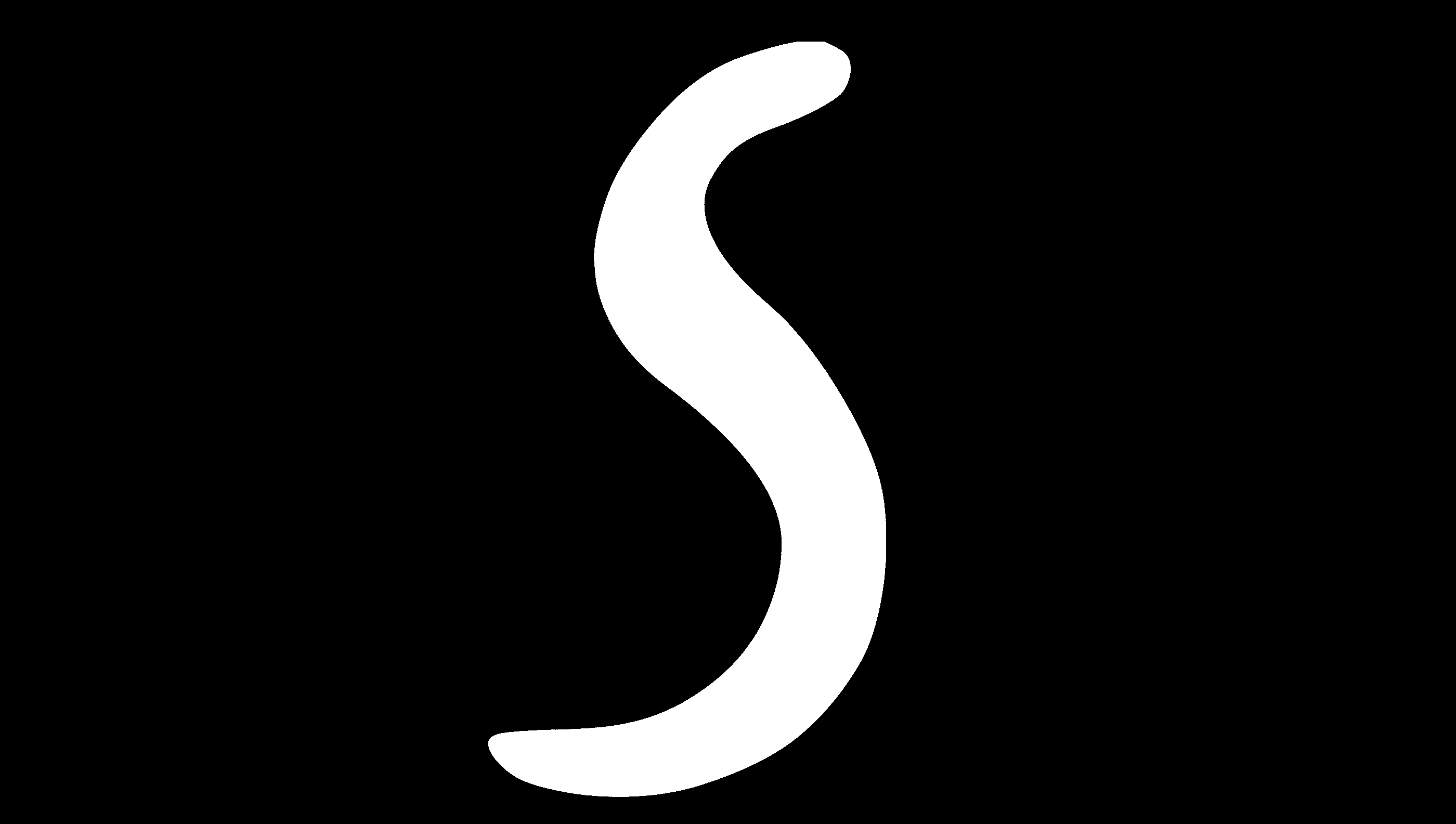 strav inv2 bw